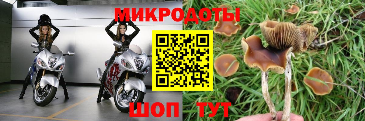 Псилоцибиновые грибы GOLDEN TEACHER  Псилоцибиновые грибы прущие грибы  Вход с VPN  Нижневартовск 